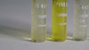 Perfume Oil Discovery Set